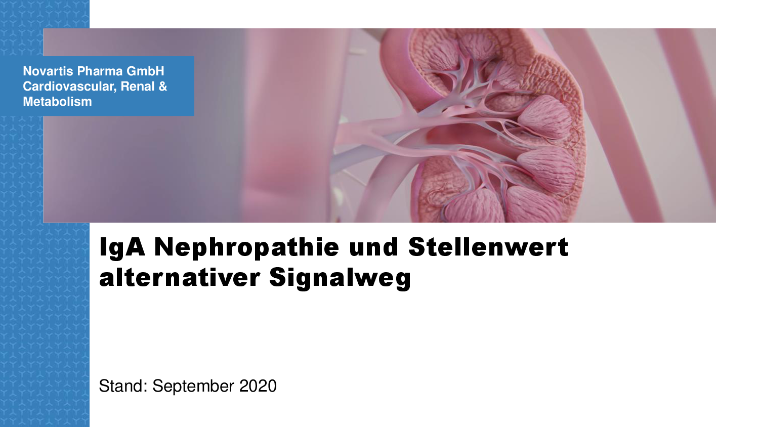 Extern_MSL_IgA Nephropathie und Stellenwert alternativer Signalweg_2020_09-001