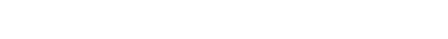 Schriftzug_NEU