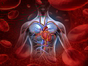 Cardio_Fotolia_NEU