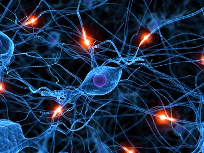 Neuro_Fotolia_8298828_XS